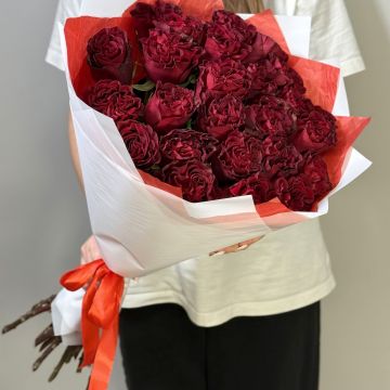 25 красных роз (сорт: Хартц) Эквадор 60 см