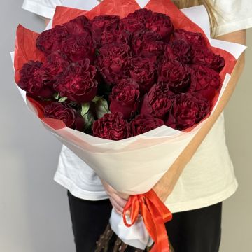 25 красных роз (сорт: Хартц) Эквадор 60 см