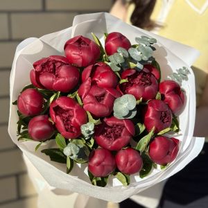 15 красных пионов с эвкалиптом