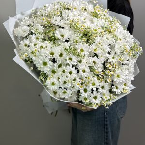 Букет из 17 кустовых ромашек и 18 кустовых хризантем
