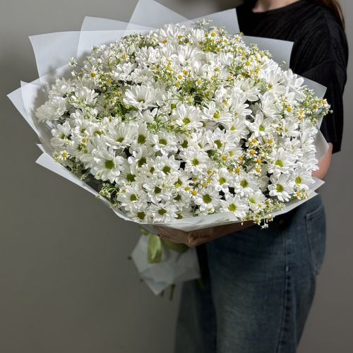 Букет из 17 кустовых ромашек и 18 кустовых хризантем